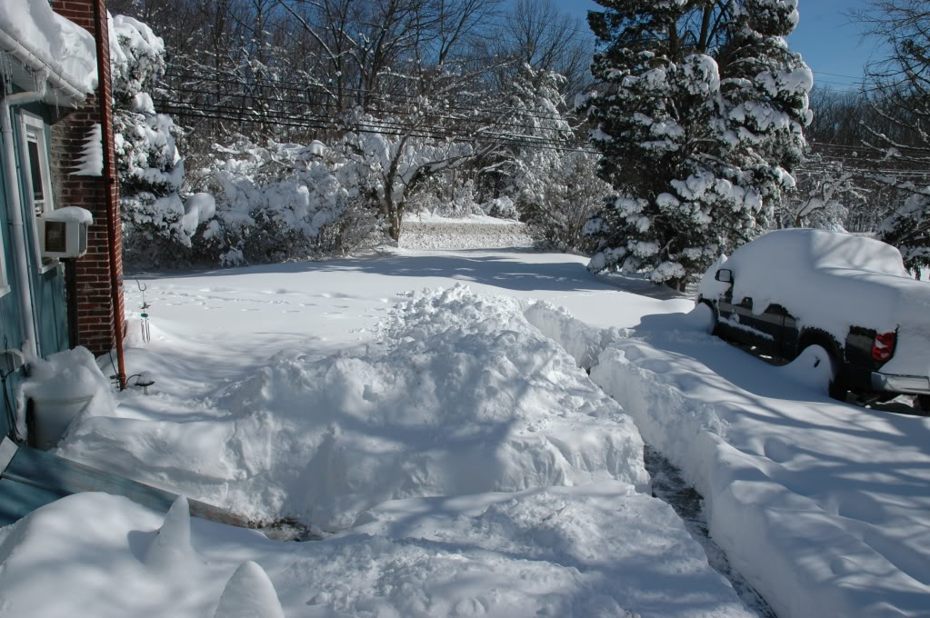 Name:  DSC_0005.jpg
Views: 20
Size:  198.6 KB