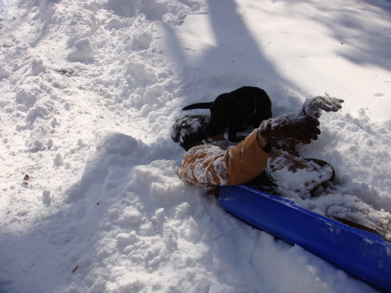 Name:  SnowDec2009037.jpg
Views: 62
Size:  97.4 KB