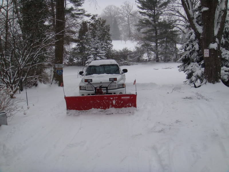 Name:  DSC01260.jpg
Views: 18
Size:  115.1 KB