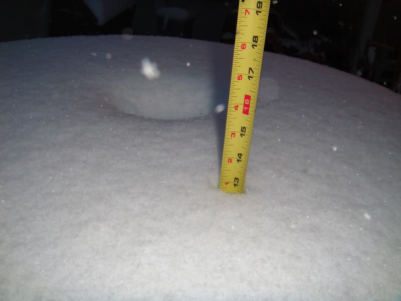 Name:  SnowDec2009014.jpg
Views: 19
Size:  57.6 KB