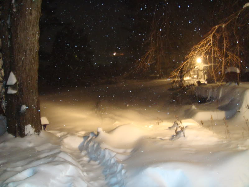 Name:  SnowDec2009022.jpg
Views: 22
Size:  82.4 KB