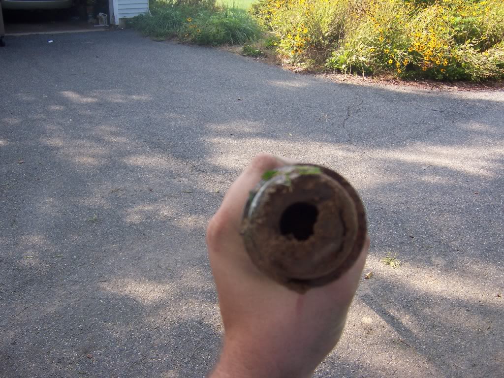 Name:  100_7113.jpg
Views: 31
Size:  222.3 KB