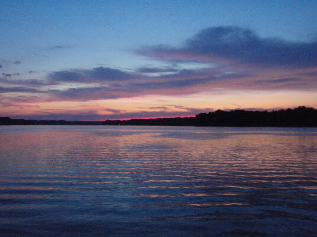 Name:  P1010675.jpg
Views: 17
Size:  112.5 KB