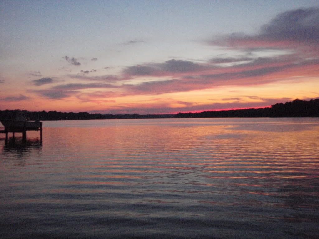 Name:  P1010676.jpg
Views: 20
Size:  110.9 KB