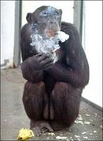 Show Me Smokers Back In Action!-smokingmonkey.jpeg