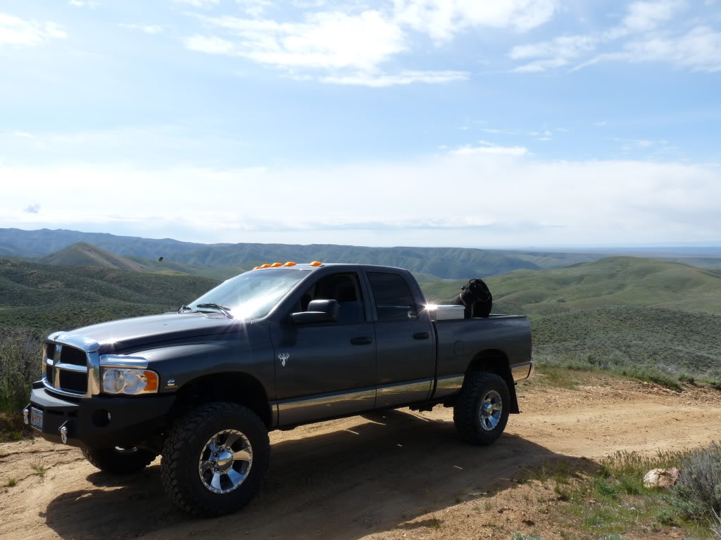 Name: rodeo10016.jpg
Views: 6410
Size: 106.0 KB