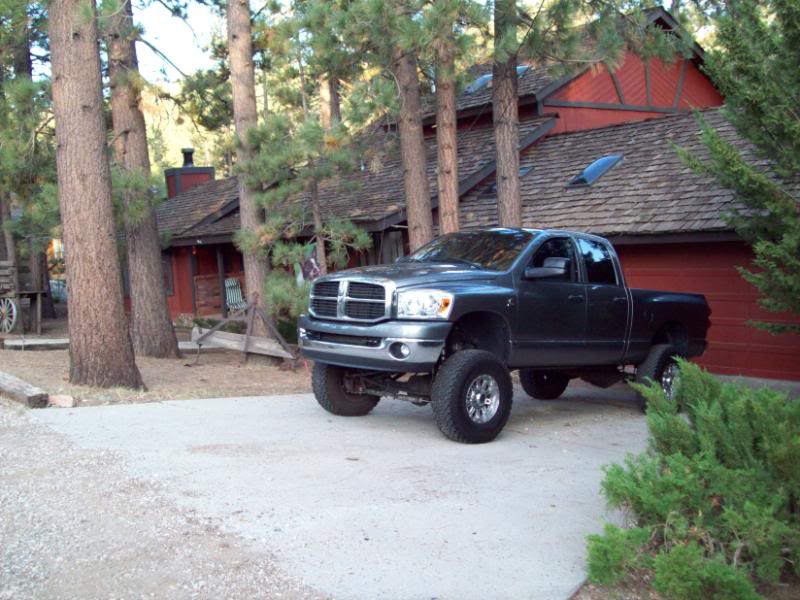 Name:  Boysinbigbear019.jpg
Views: 3963
Size:  95.9 KB