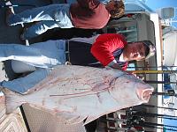 Big Fish Pictures-halibut100.jpg