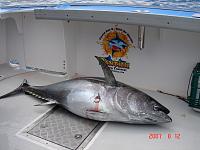 On a Charter...-dsc01158.jpg