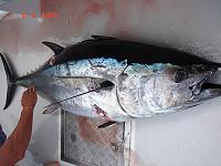 On a Charter...-dsc01156.jpg