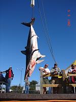 On a Charter...-dsc01452.jpg