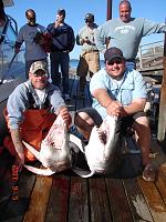 On a Charter...-dsc01425.jpg