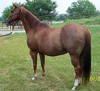 DTR's HOLIDAY BREAKROOM***11/18-11/25/07-flasha-thunder-girl.jpg