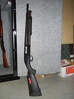 Gun purchase-pict0331.jpg