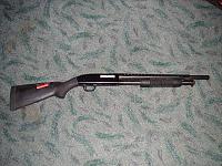 Gun purchase-pict0330.jpg