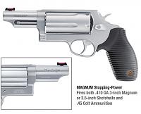 Gun purchase-whatsnew-thejudge.jpg
