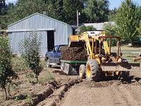 hauling cow chips-p8210009-large-.jpg