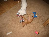 DTR Goofball Club-img_05101.jpg