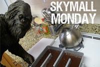 DTR The Dragon's Lair and Breakroom-skymallmonday.jpg