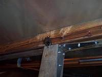 Spiders, Snakes, Squirrels---NUTS-100_2414-large-.jpg
