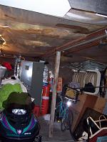 Spiders, Snakes, Squirrels---NUTS-100_2415-large-.jpg