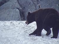****BREAKROOM, 10/9 to 10/15****-alaska-criuse-092.jpg