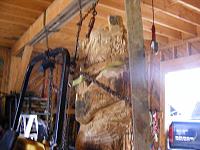 Turn Your Clocks BACK Breakroom. Nov 4 - Nov 10-carvedbearupright3.jpg