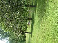 New Week, New Outlook Break Room 8/2-8/8-jeepinpond.jpg