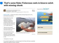 09/25-10/01 New Breakroom-fish.jpg