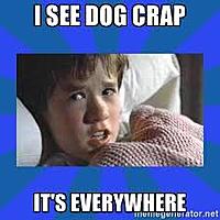 Photo of the day-mknittle.jpg