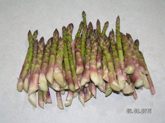Name:  Asparagus_zps2kbaqm3e.jpg
Views: 24
Size:  169.4 KB