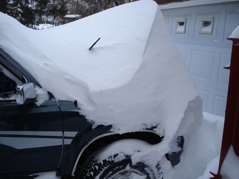 Name:  snow.jpg
Views: 25
Size:  169.0 KB