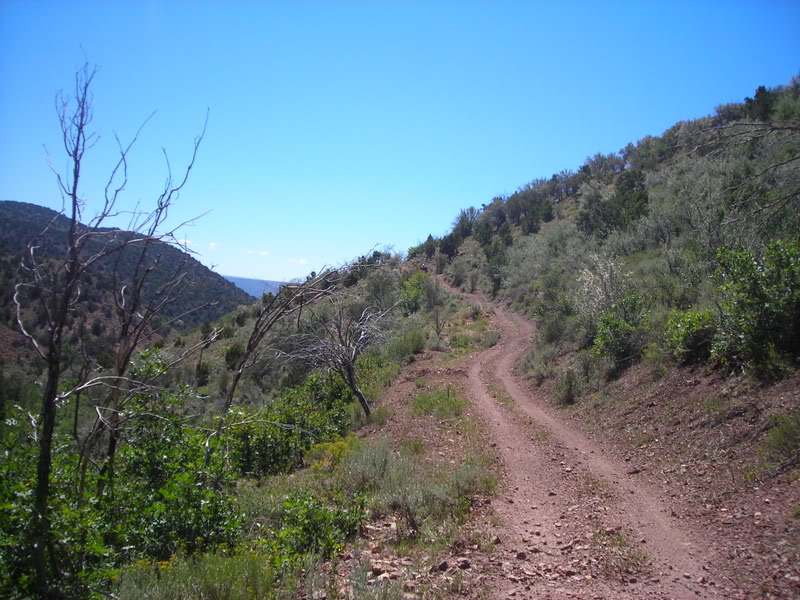 Name:  utah217.jpg
Views: 157
Size:  136.0 KB