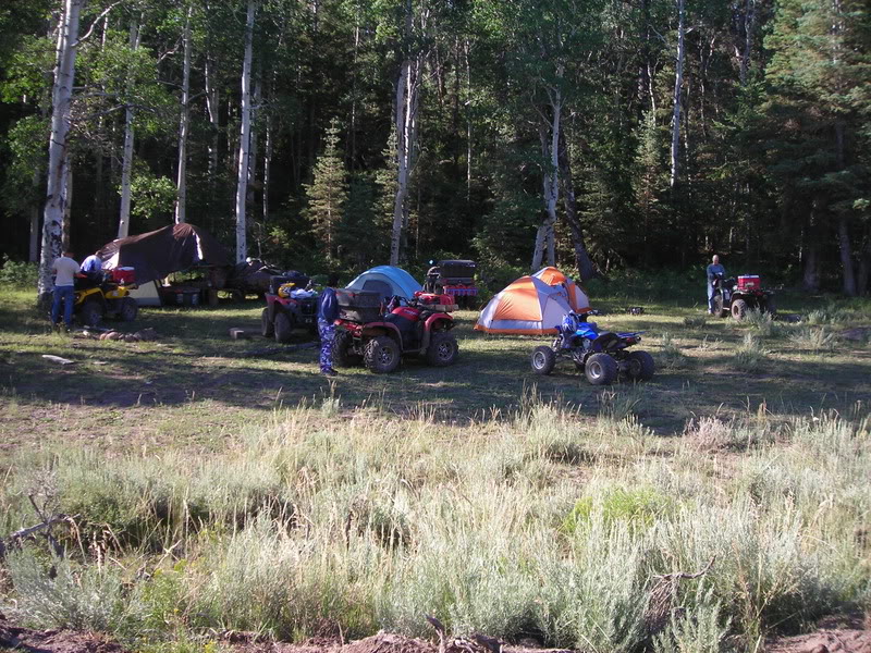 Name:  utah295.jpg
Views: 130
Size:  194.4 KB