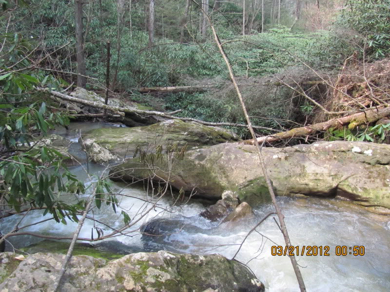 Name:  tennesee342.jpg
Views: 104
Size:  168.8 KB