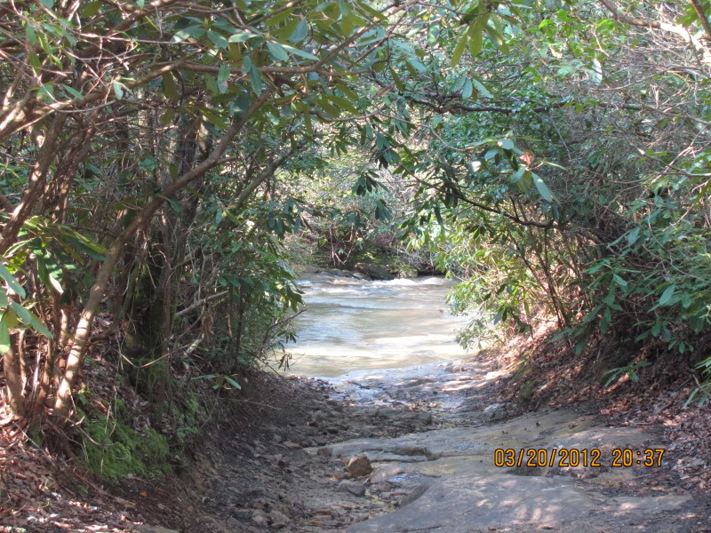 Name:  tennesee321.jpg
Views: 104
Size:  192.8 KB