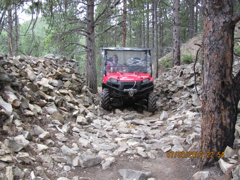 Name:  blackhills2010059.jpg
Views: 104
Size:  204.6 KB