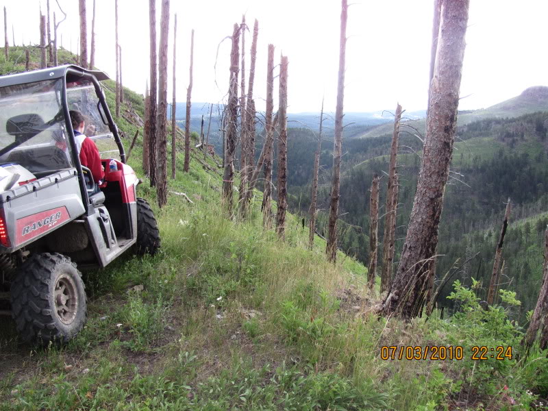 Name:  blackhills2010054.jpg
Views: 124
Size:  149.2 KB