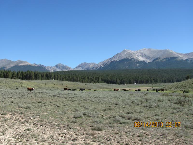 Name:  IMG_1110.jpg
Views: 190
Size:  67.5 KB