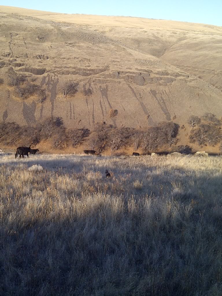 Name:  IMG-20111202-00246.jpg
Views: 67
Size:  197.4 KB