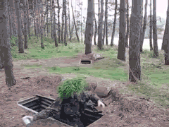 Name: 1330802475785.gif
Views: 43
Size: 1.56 MB