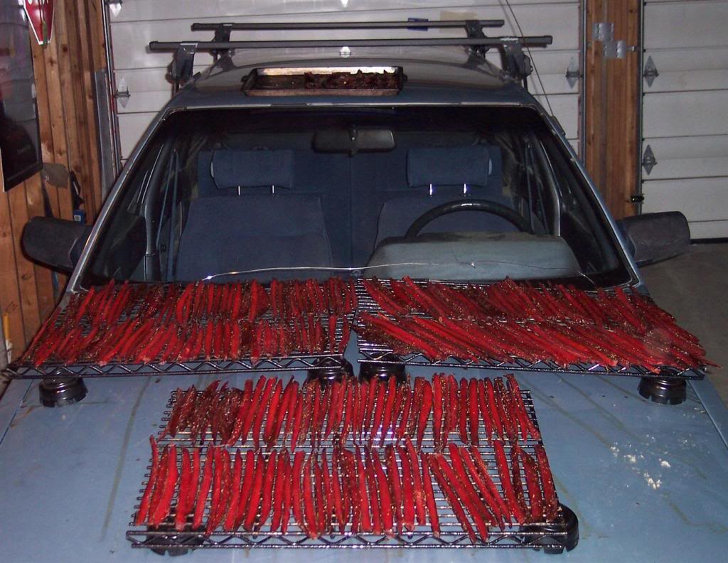Name:  Finisheddryfish.jpg
Views: 61
Size:  124.8 KB
