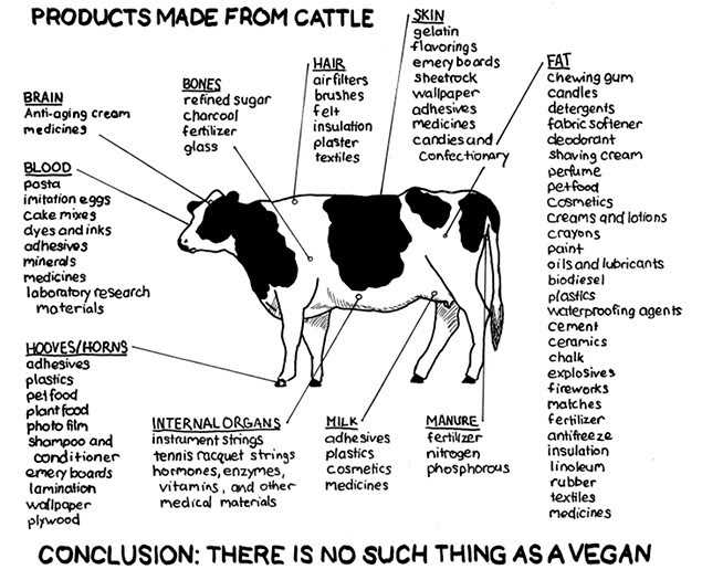 Name:  Novegan.jpg
Views: 55
Size:  83.7 KB