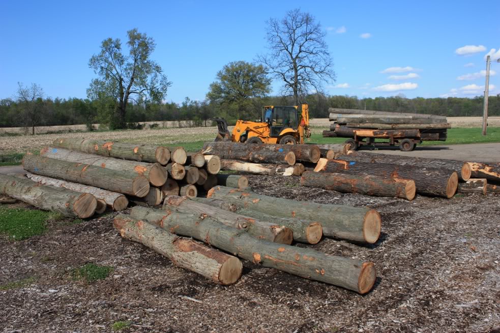 Name: TimberSale005A.jpg
Views: 93
Size: 171.4 KB