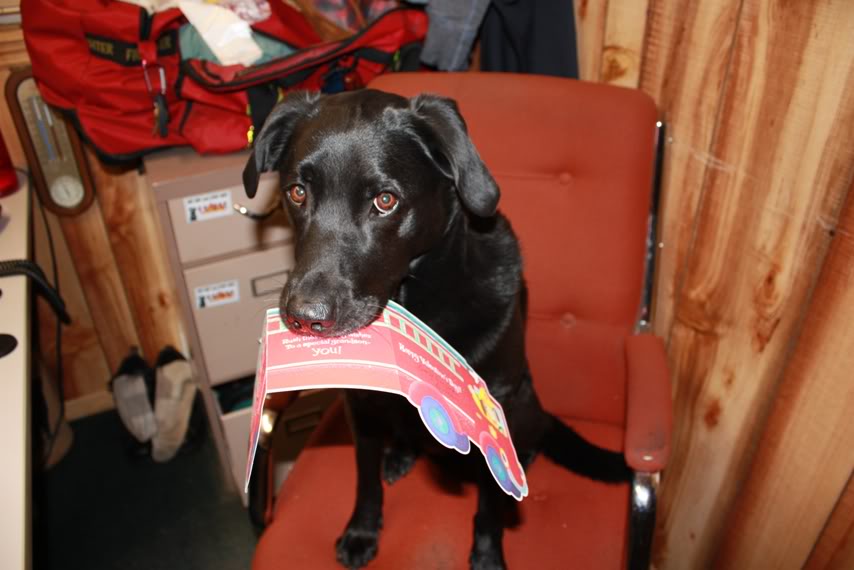 Name:  CardFromGrammie-02-14-2012001a.jpg
Views: 25
Size:  55.6 KB