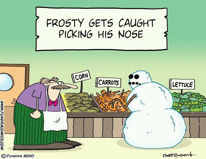Name:  Frosty.jpg
Views: 32
Size:  61.6 KB