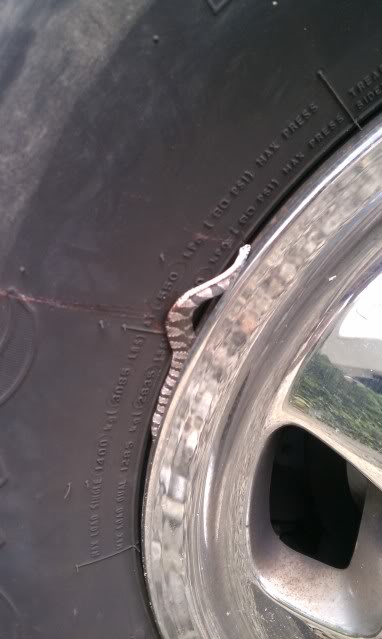 Name:  IMAG0119.jpg
Views: 261
Size:  33.2 KB