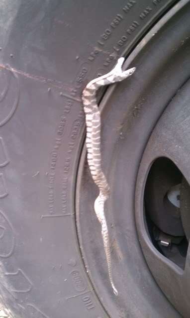 Name:  IMAG0122.jpg
Views: 255
Size:  26.2 KB