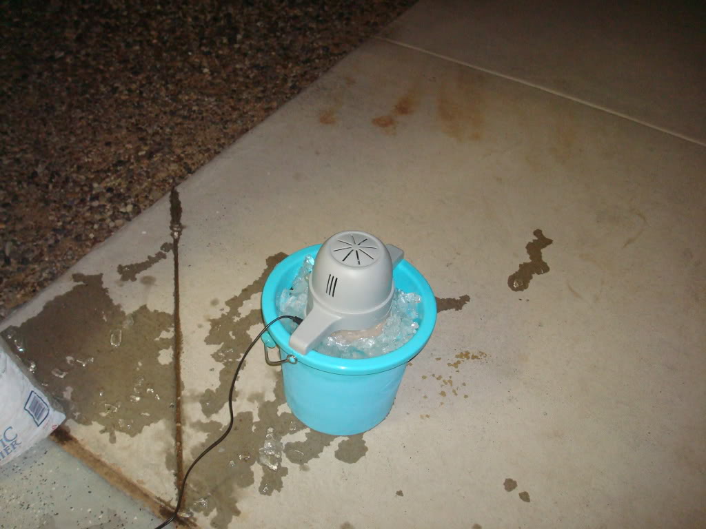 Name:  DSC03786.jpg
Views: 24
Size:  86.3 KB