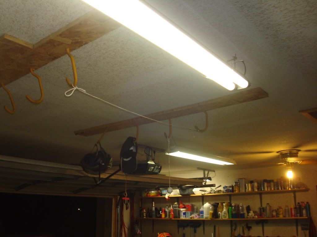 Name:  DSC03791.jpg
Views: 23
Size:  68.1 KB